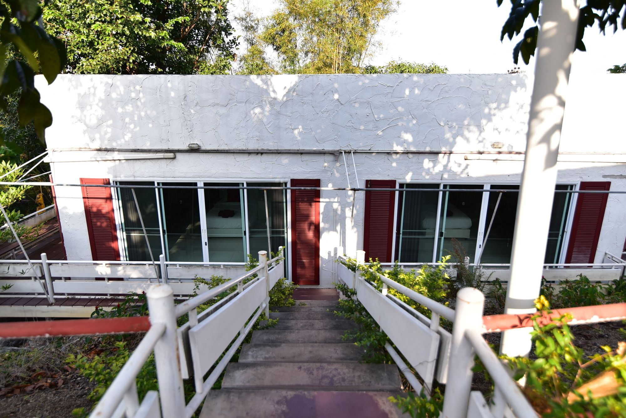 Bambusa Nakhonratchasima Buitenkant foto